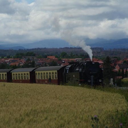 Ferienwohnung Schuur - Harz Hasselfelde Εξωτερικό φωτογραφία