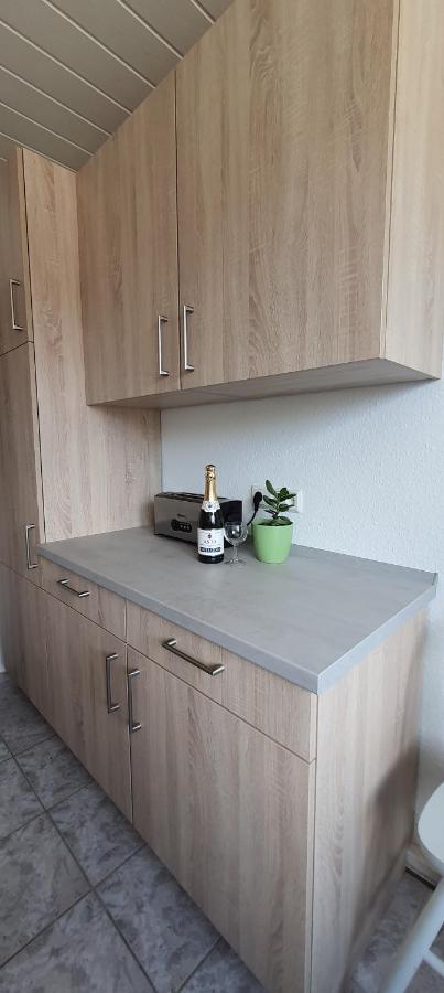 Ferienwohnung Schuur - Harz Hasselfelde Εξωτερικό φωτογραφία