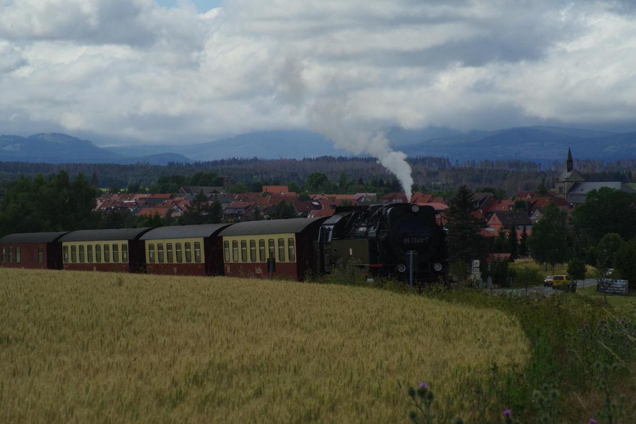 Ferienwohnung Schuur - Harz Hasselfelde Εξωτερικό φωτογραφία