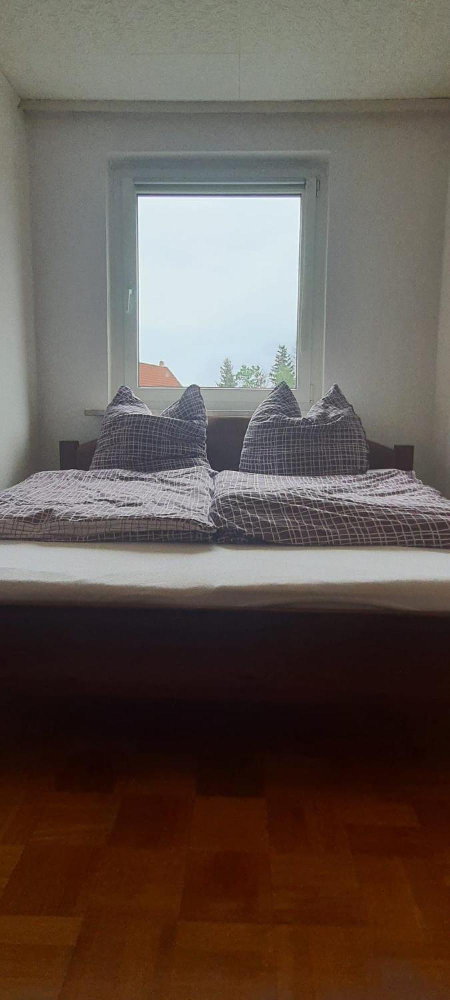 Ferienwohnung Schuur - Harz Hasselfelde Εξωτερικό φωτογραφία
